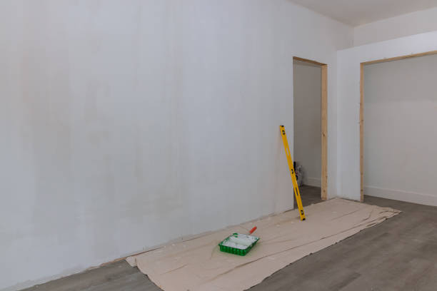 Best Emergency Mold Remediation  in New Buffalo, MI