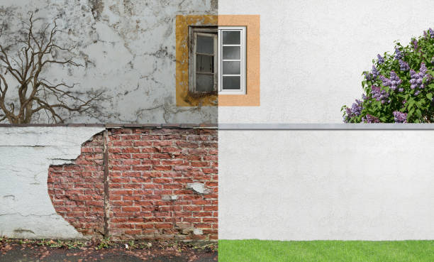New Buffalo, MI Mold Removal Company