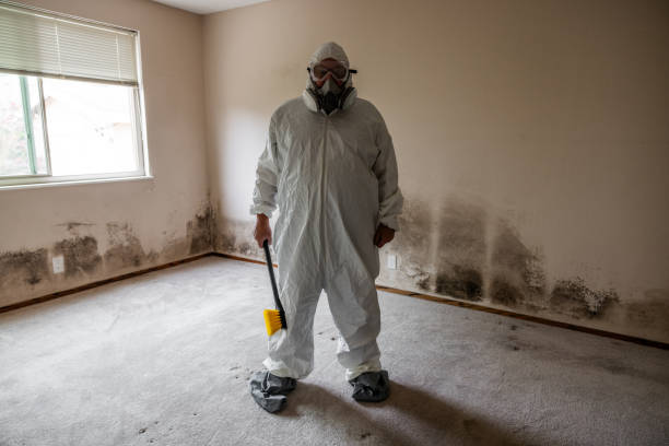 Best Industrial Mold Remediation  in New Buffalo, MI