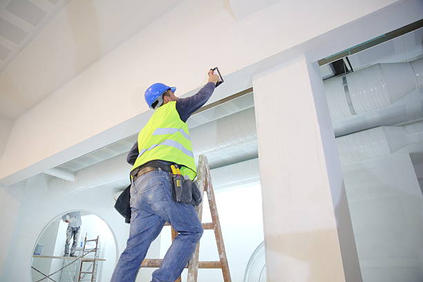 Best Forensic Mold Investigation  in New Buffalo, MI