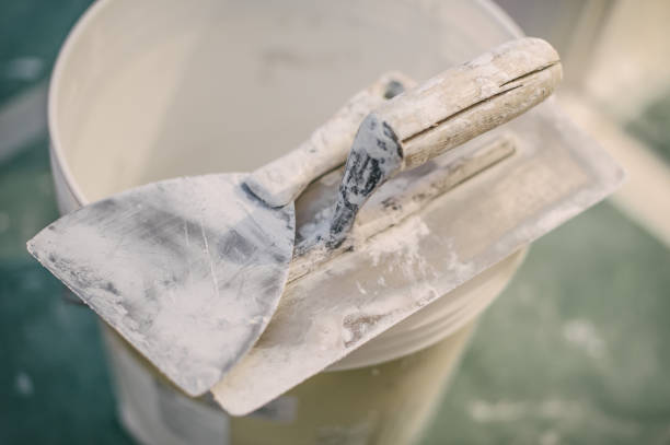 Best Mold Damage Restoration  in New Buffalo, MI