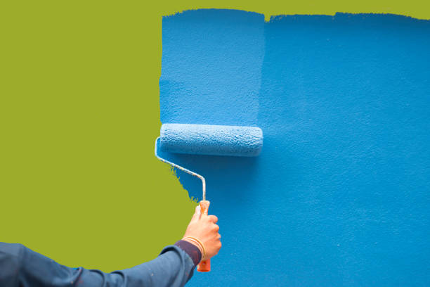 Best Black Mold Removal  in New Buffalo, MI